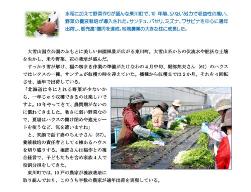 養液栽培で広がるリーフ野菜～東川町～(『家の光』北海道版　2009年7月号）